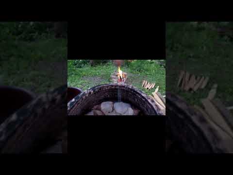 Burn the fish on the fire #woodlife #Shorts